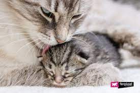 Images (3) 1 2 3